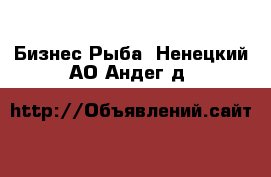 Бизнес Рыба. Ненецкий АО,Андег д.